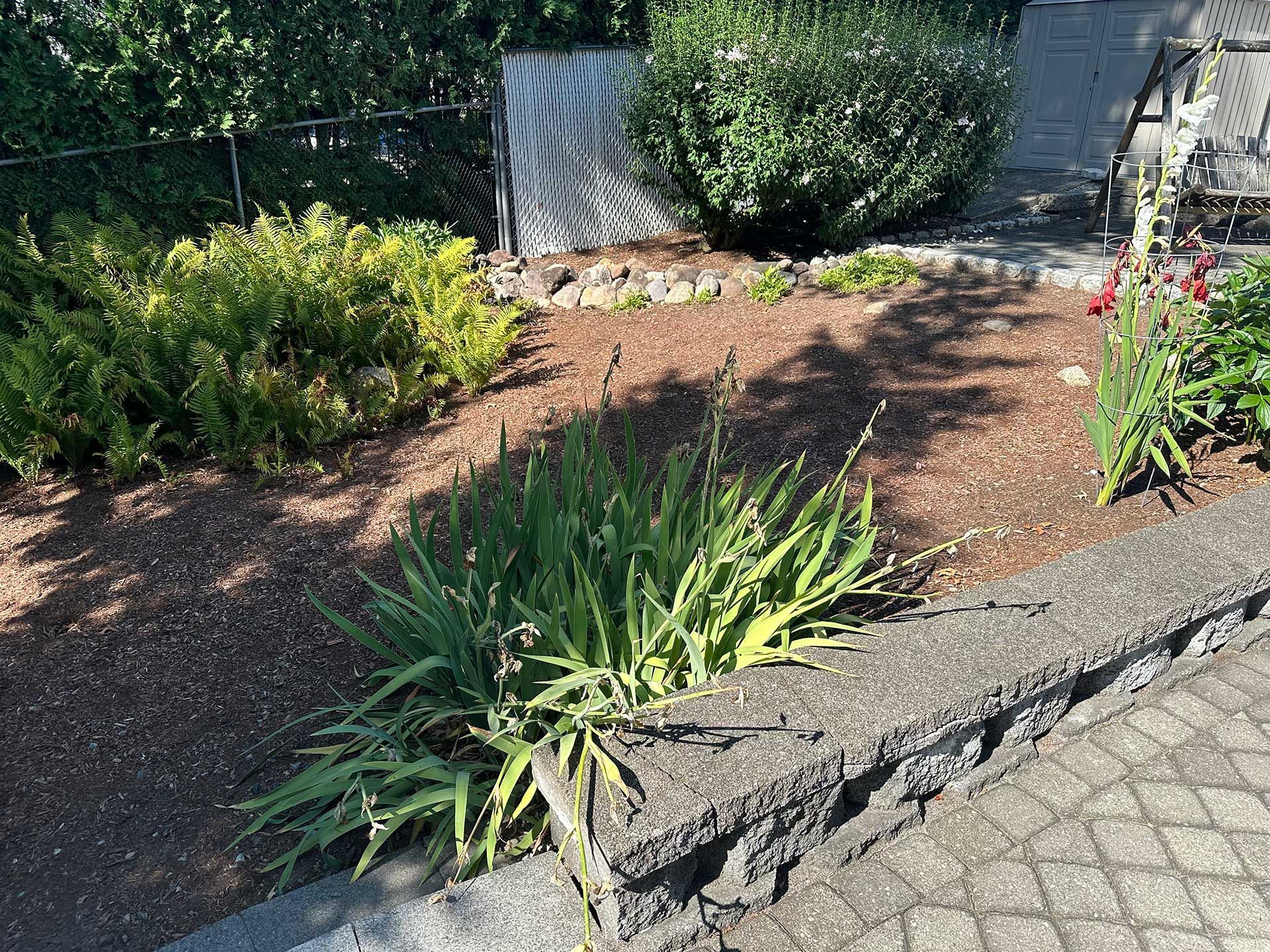 before sod installation