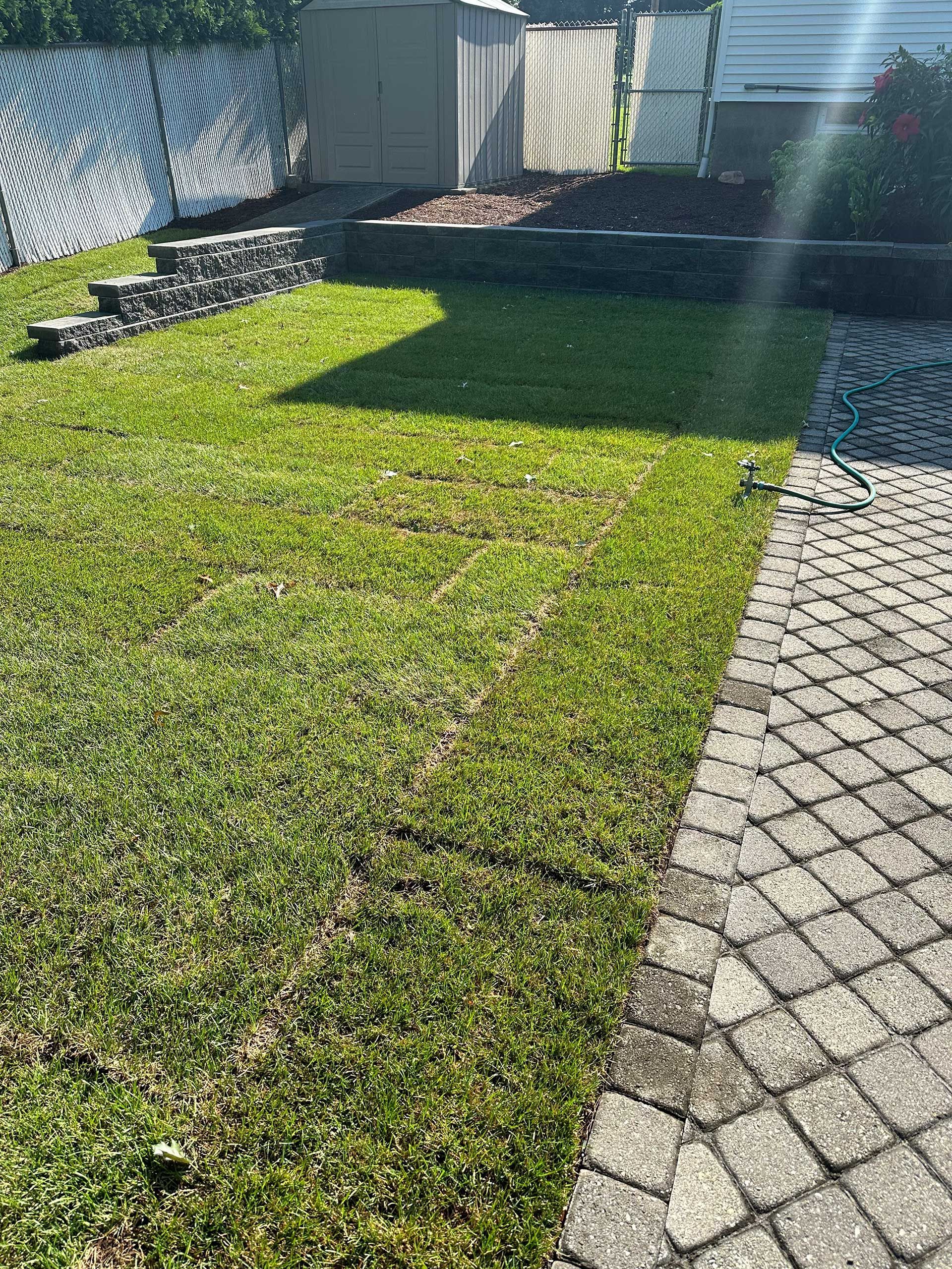 after sod installation