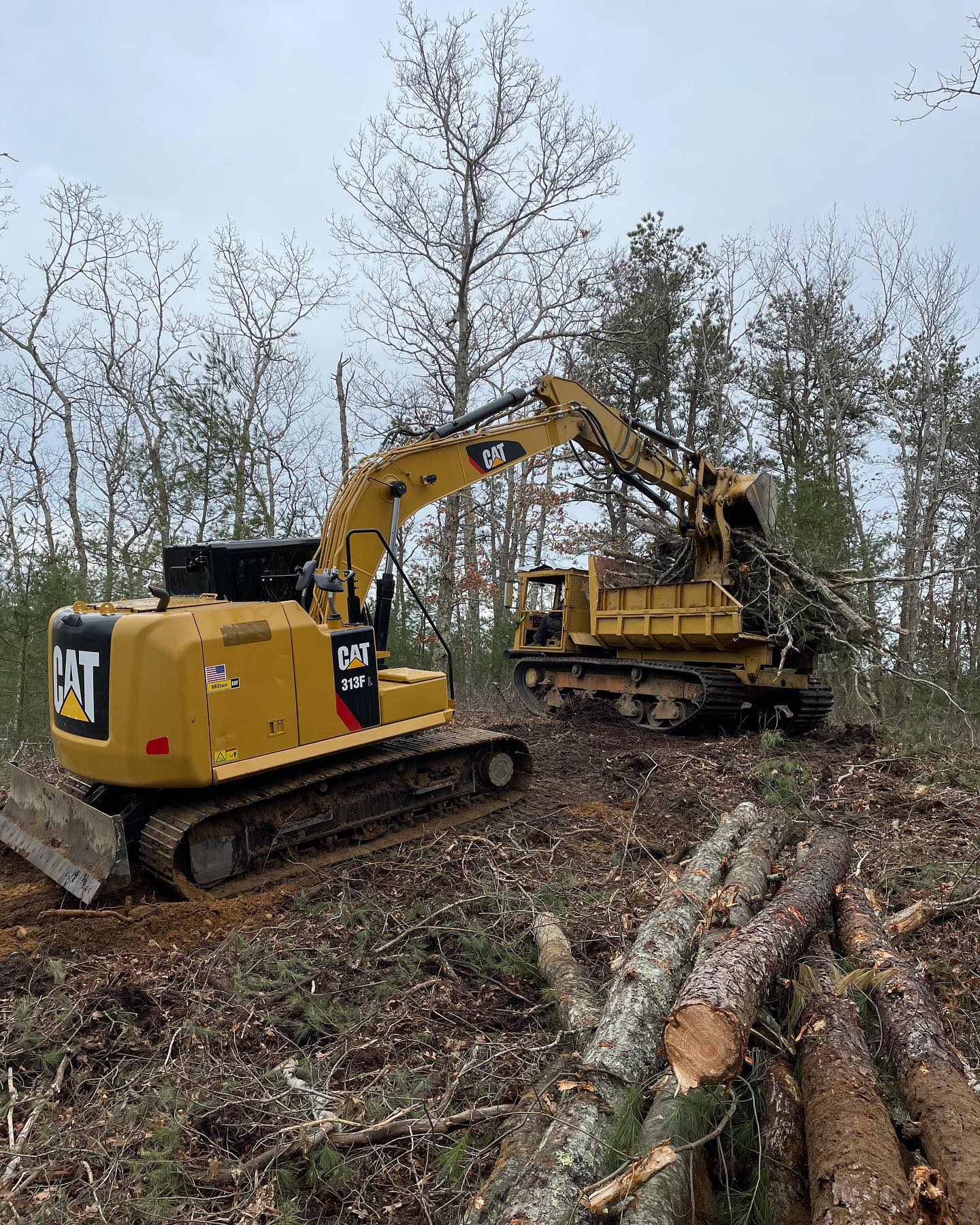 Excavation service