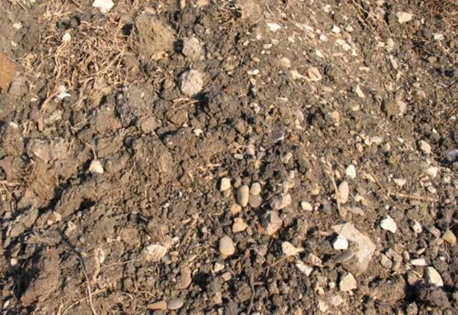 FILL- SUITABLE OR UNSUITABLE