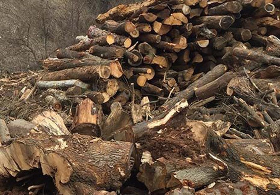 STUMPS / LOGS / BRUSH/ CHIPS