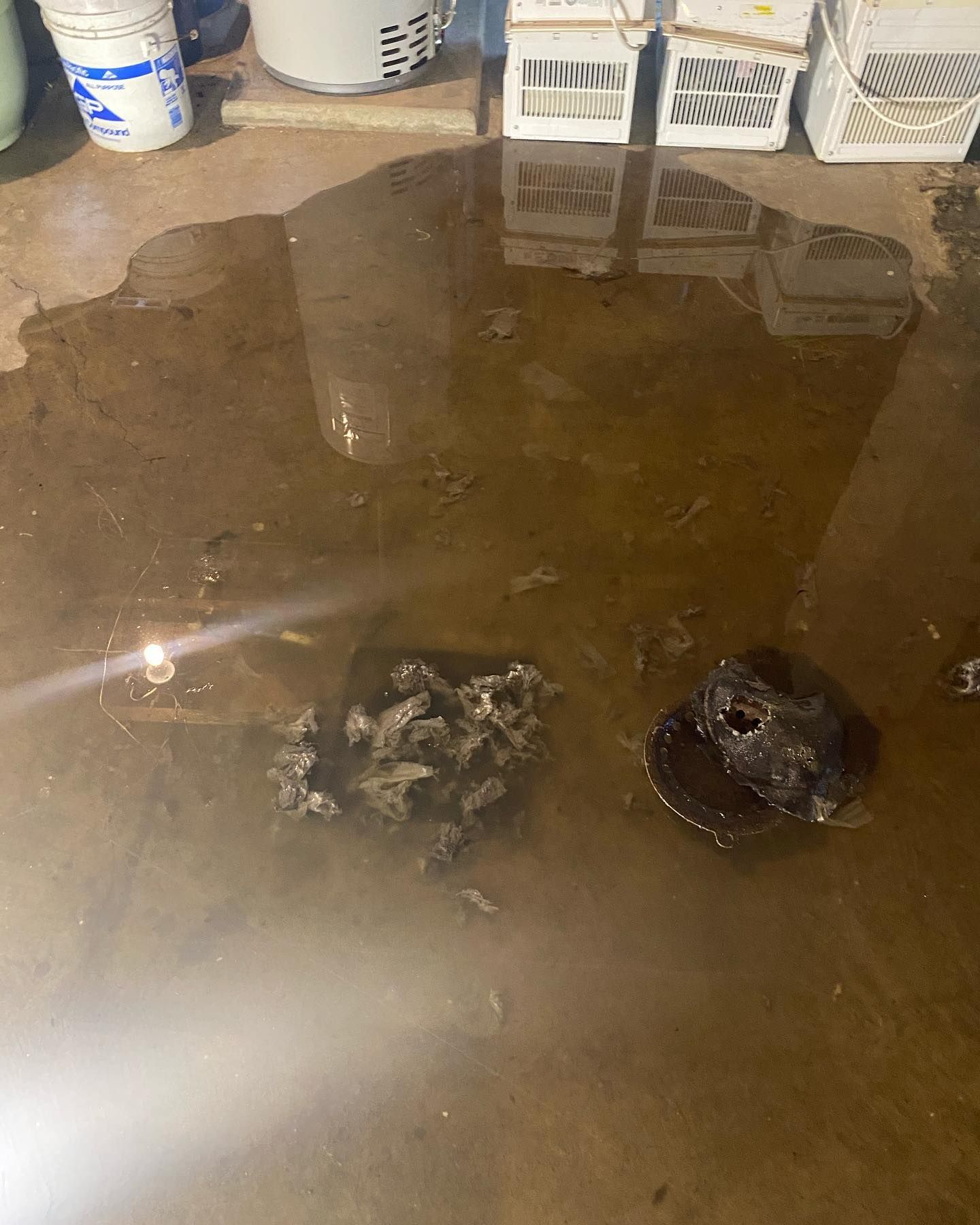 Flooded basement floor. Two debris piles in murky water near a bucket and some storage.