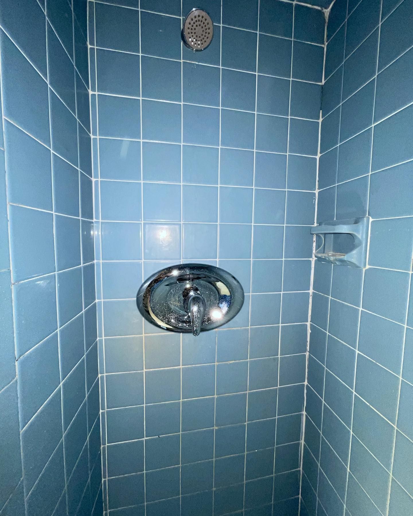 Blue tiled shower with silver shower head and faucet. Soap dish on the right.