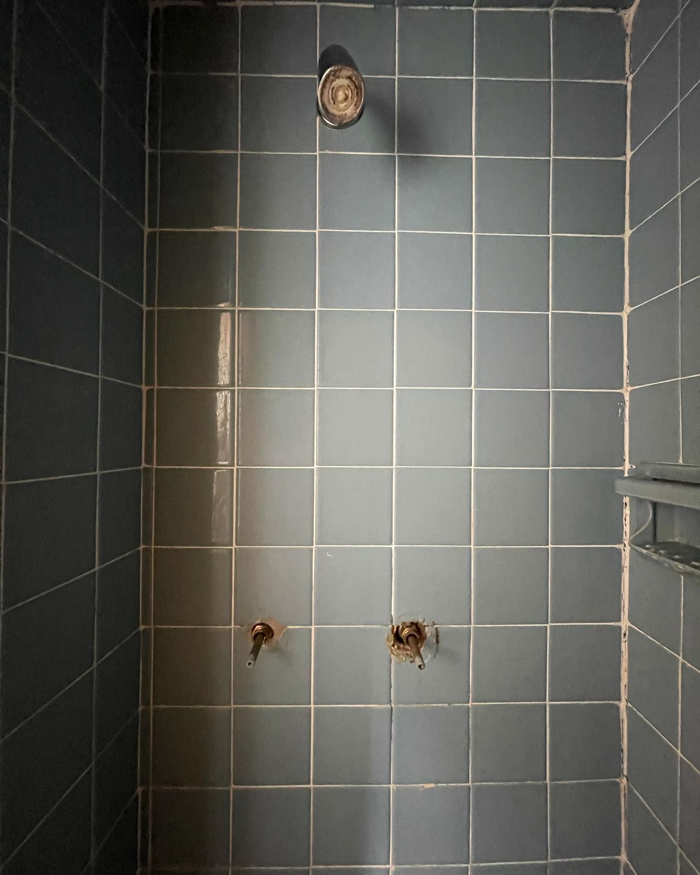 Blue-tiled shower stall with silver showerhead and faucets.
