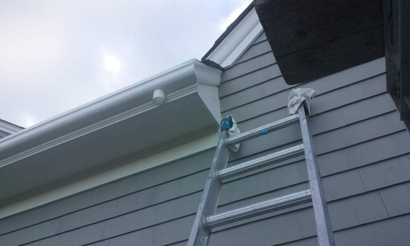 Ladder leaning against gray siding of a house, reaching towards white gutters. Cloudy sky.
