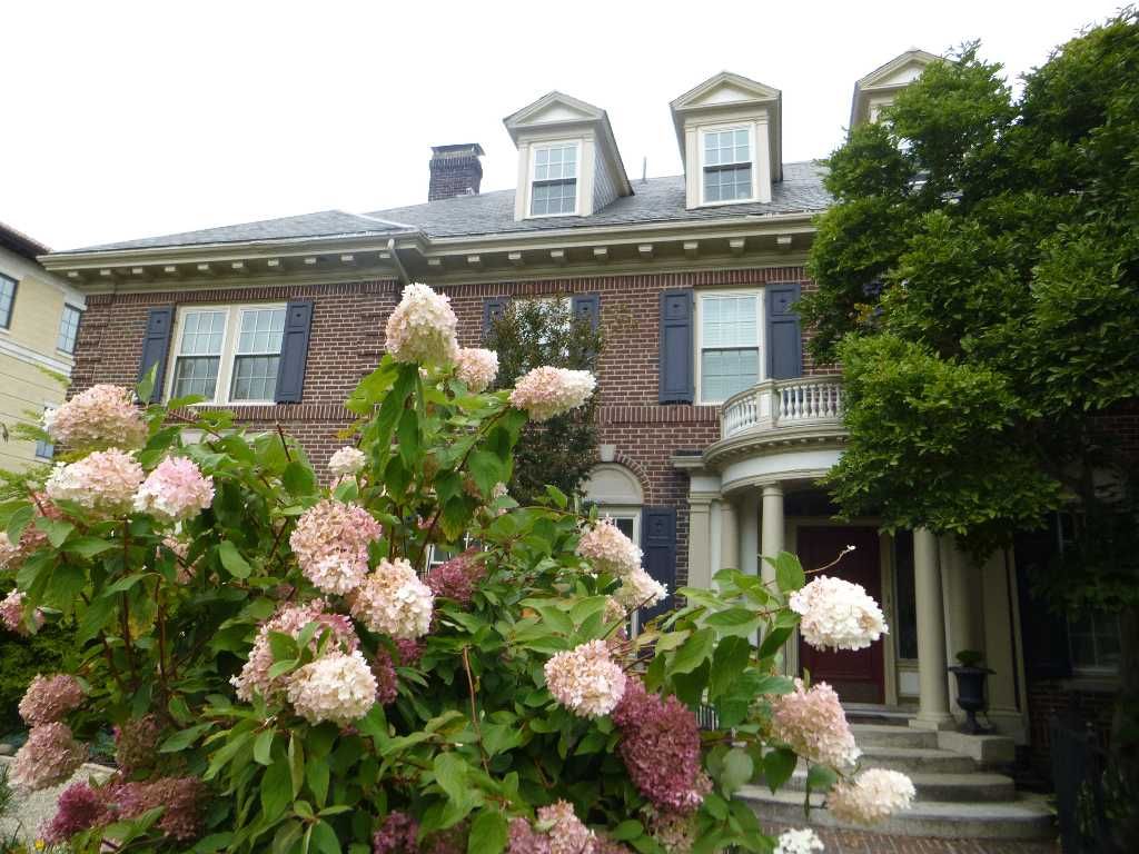 Brick house with pale pink and purple hydrangea bushes in front. Blue shutters, white trim, and a porch.