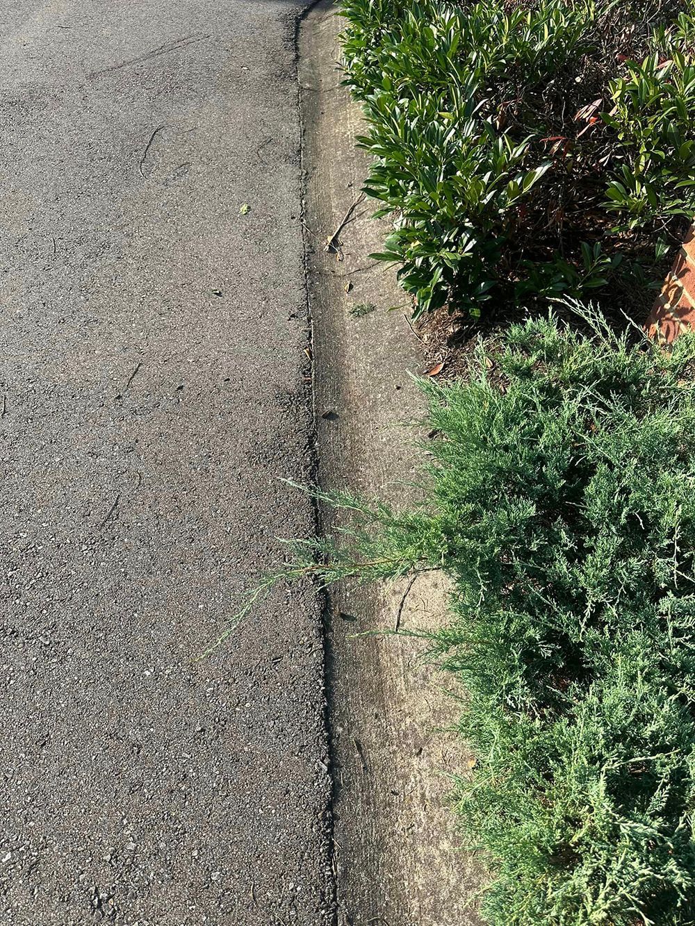 A close up of a road with a curb and bushes on the side of it