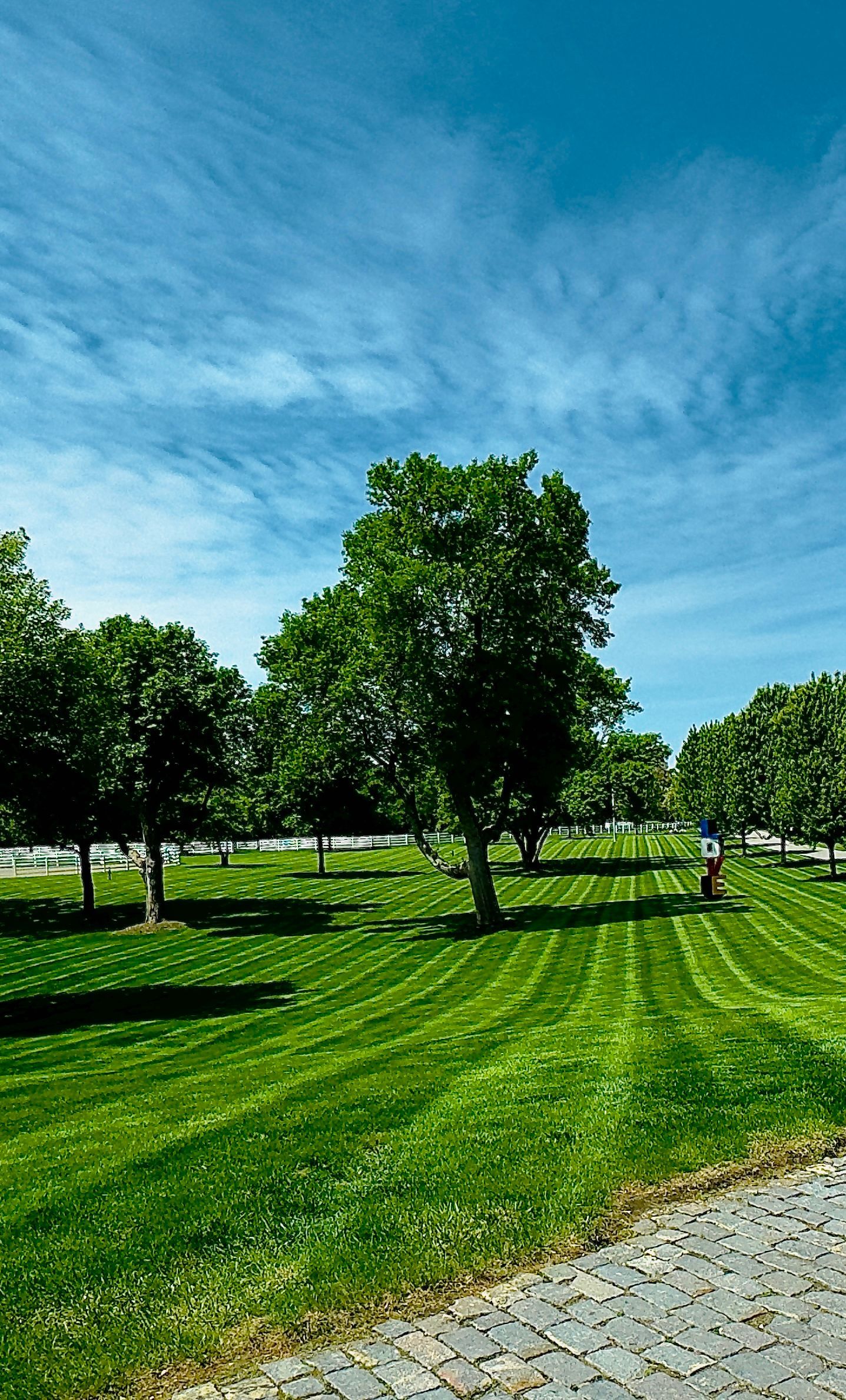 Sunny park with green grass, trees, and a blue sky with wispy clouds
