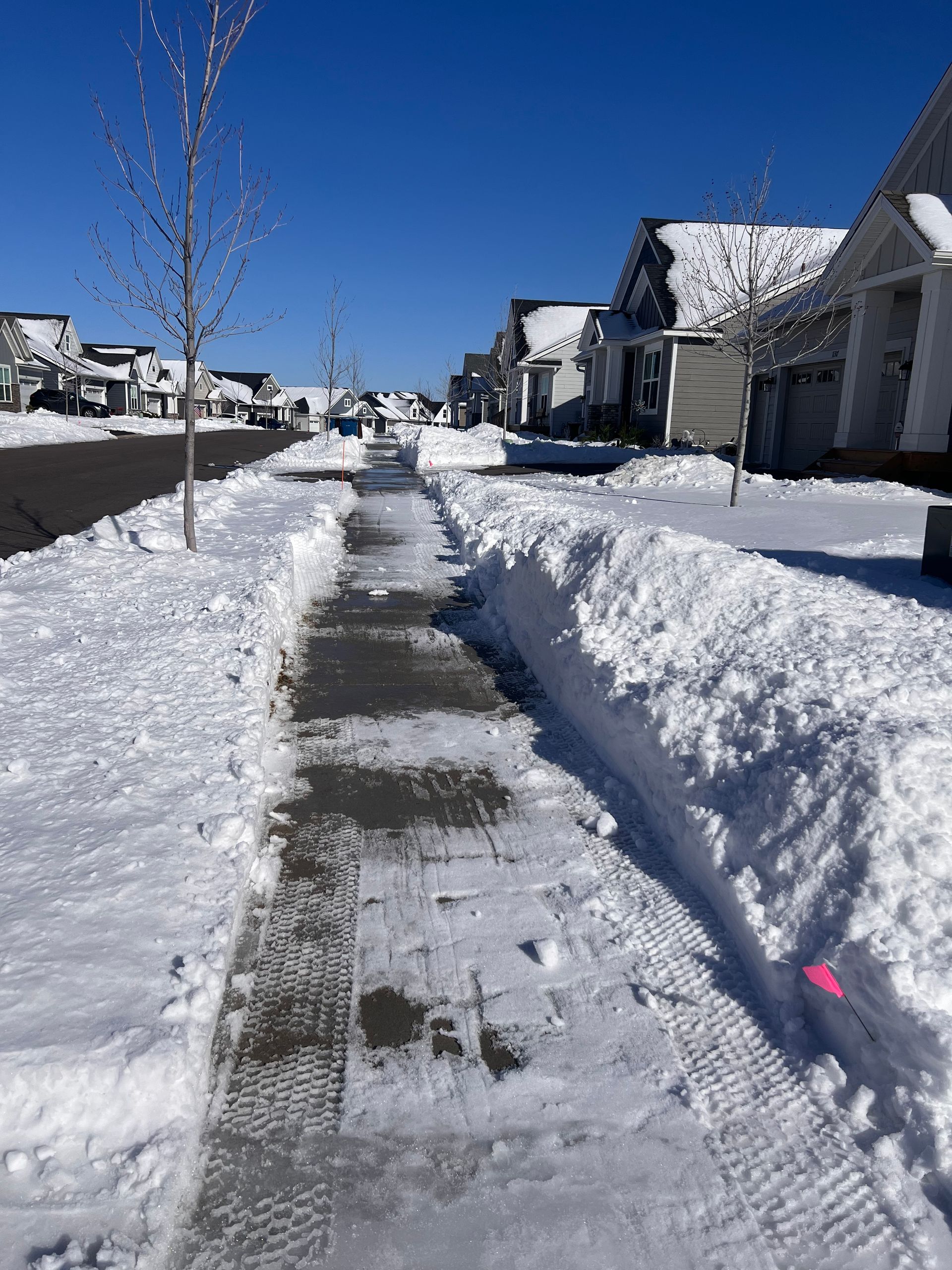 Snowy suburban sidewalk cleared between high snowbanks on a sunny winter day