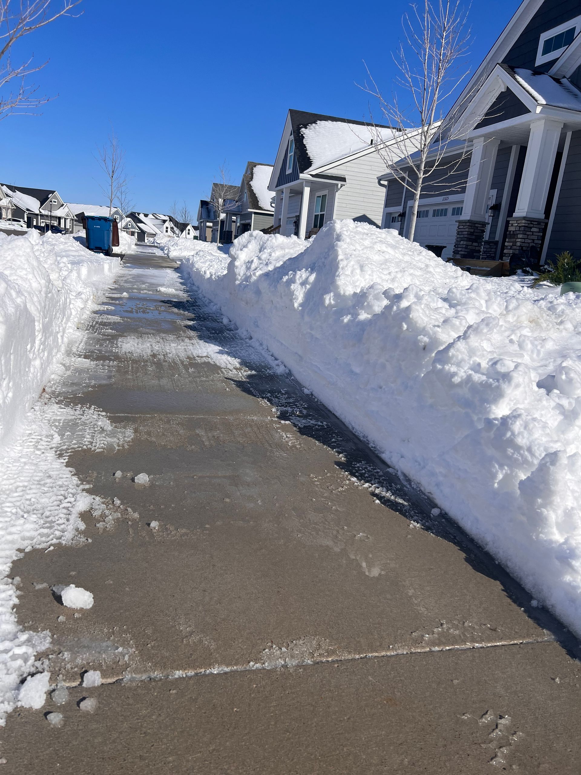 Snow-cleared suburban sidewalk between houses with tall snowbanks under a bright blue sky