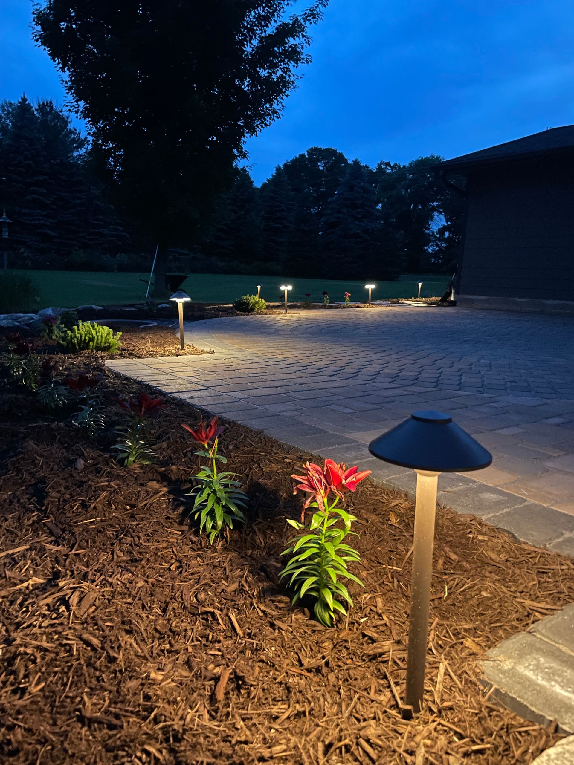 Dimly lit garden path with small ground lights, flowerbed, and trees at dusk