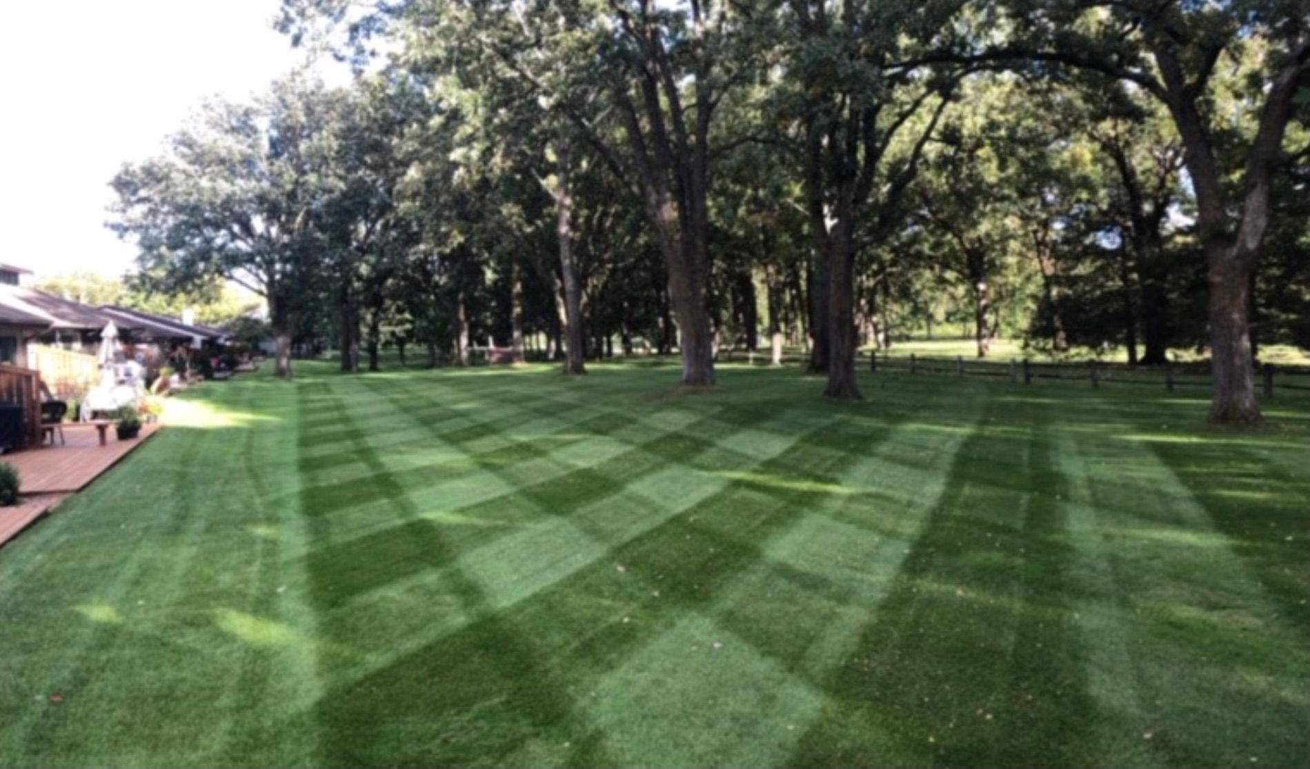 Shaded green lawn with striped mowing patterns and tall trees in a park