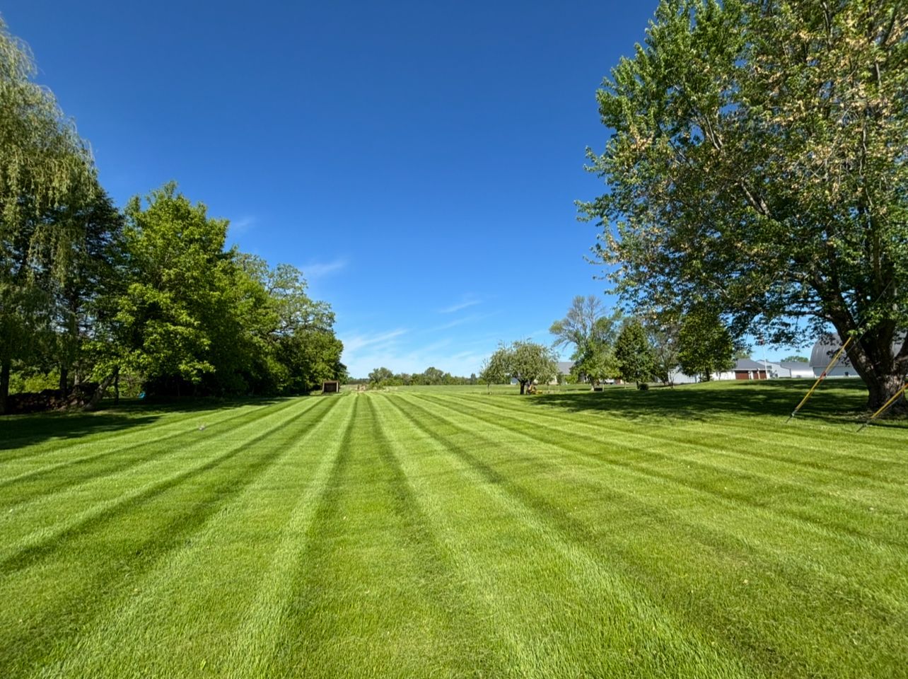 Wide green mowed field under a bright blue sky, lined with trees on both sides.