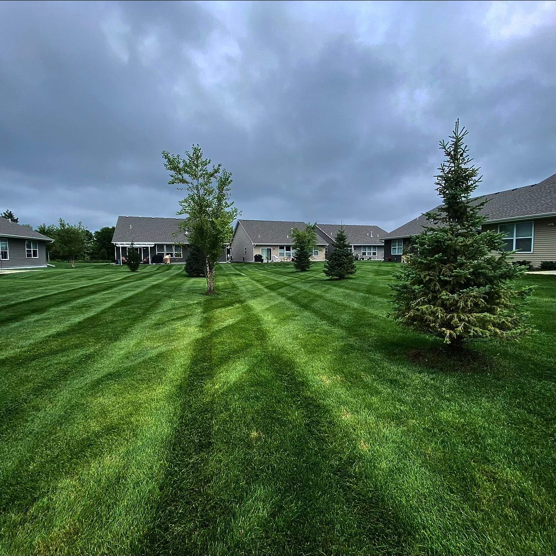 Suburban homes beyond a green, striped lawn with young trees under a cloudy sky