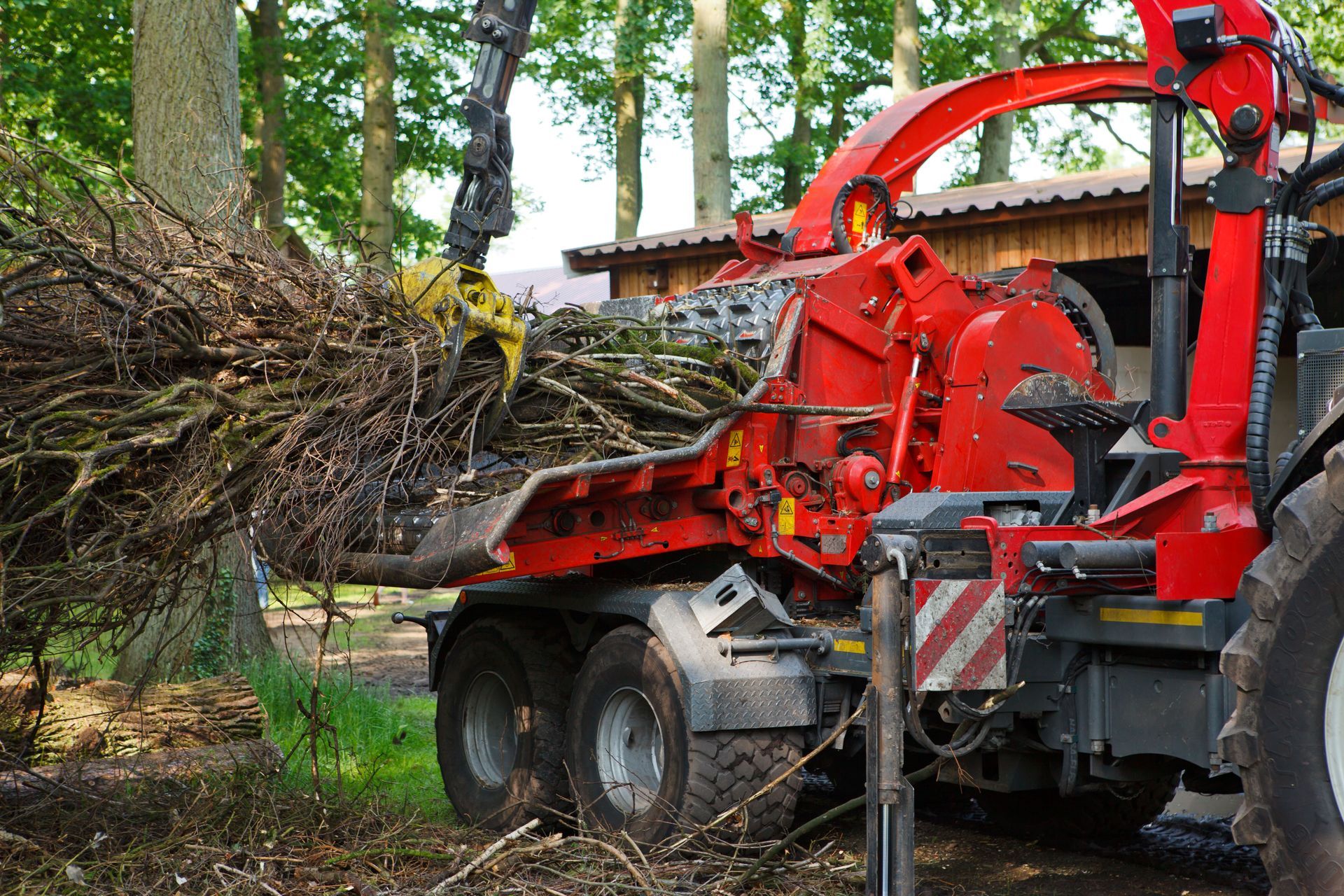 A red woodchipper machine feeds tree branches into its intake area within a forest setting.