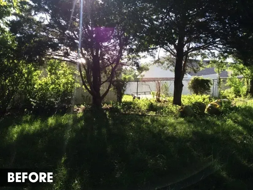 A sunlit, overgrown backyard with mature trees, tall grass, and a white fence in the background, labeled 