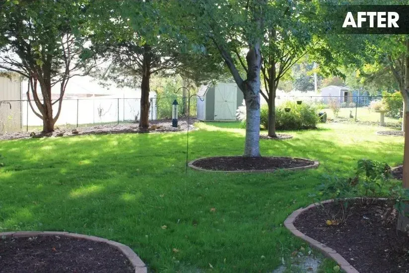 A manicured backyard featuring lush green grass, mature trees, and multiple circular garden beds with dark mulch.