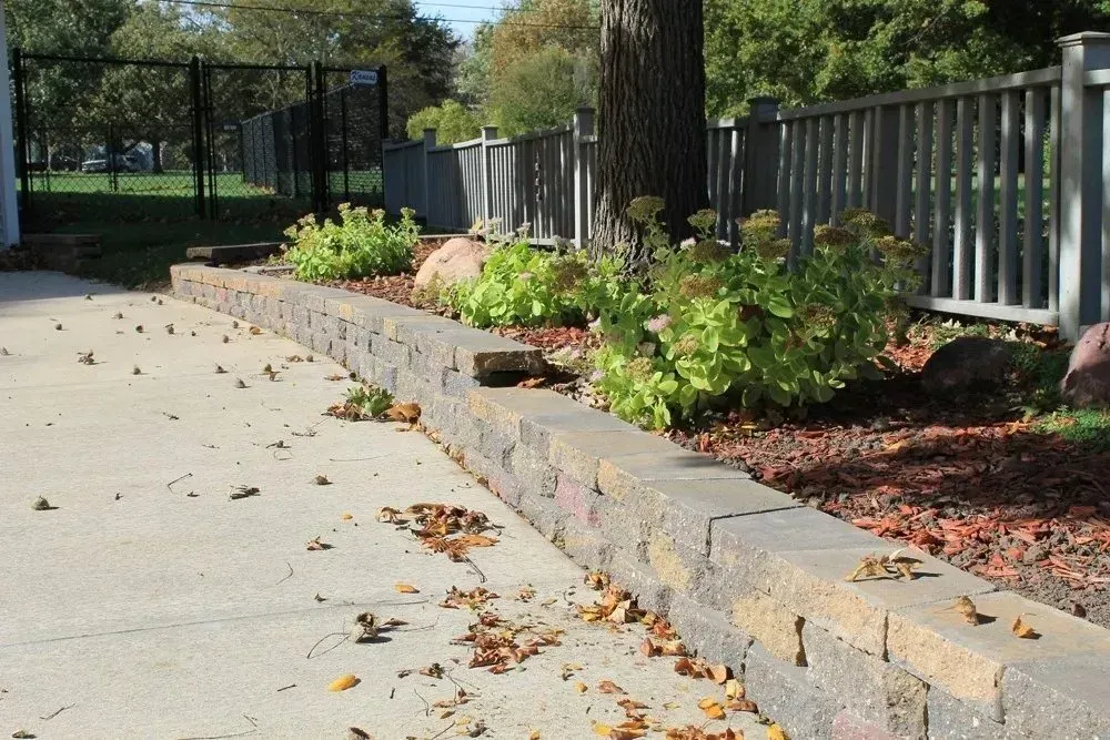 A low, stone retaining wall lines a concrete walkway beside a garden bed with bushes, mulch, and a large tree.