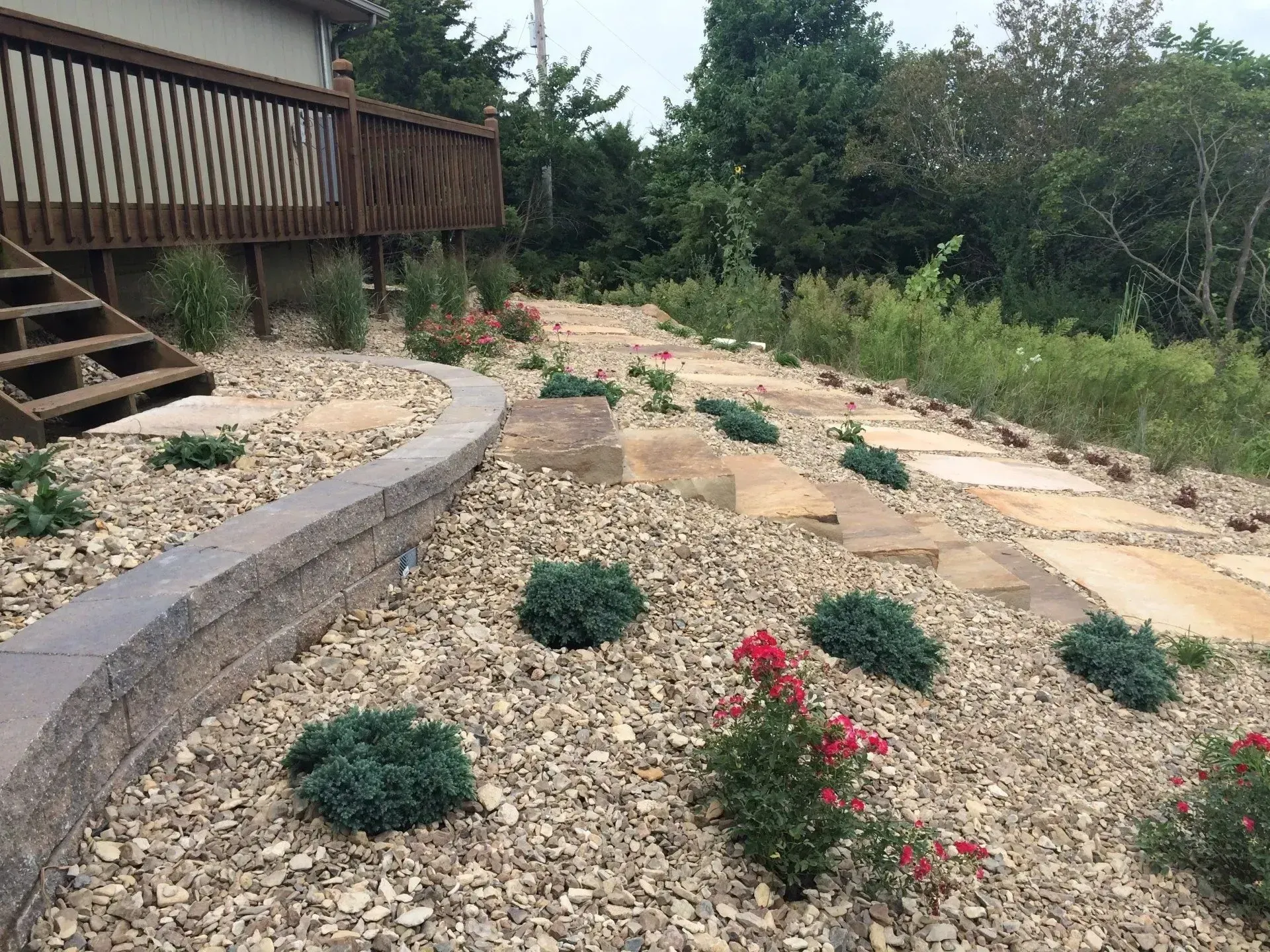A landscaped hillside with a retaining wall, stone steps, gravel ground cover, and small shrubs and red rose bushes.