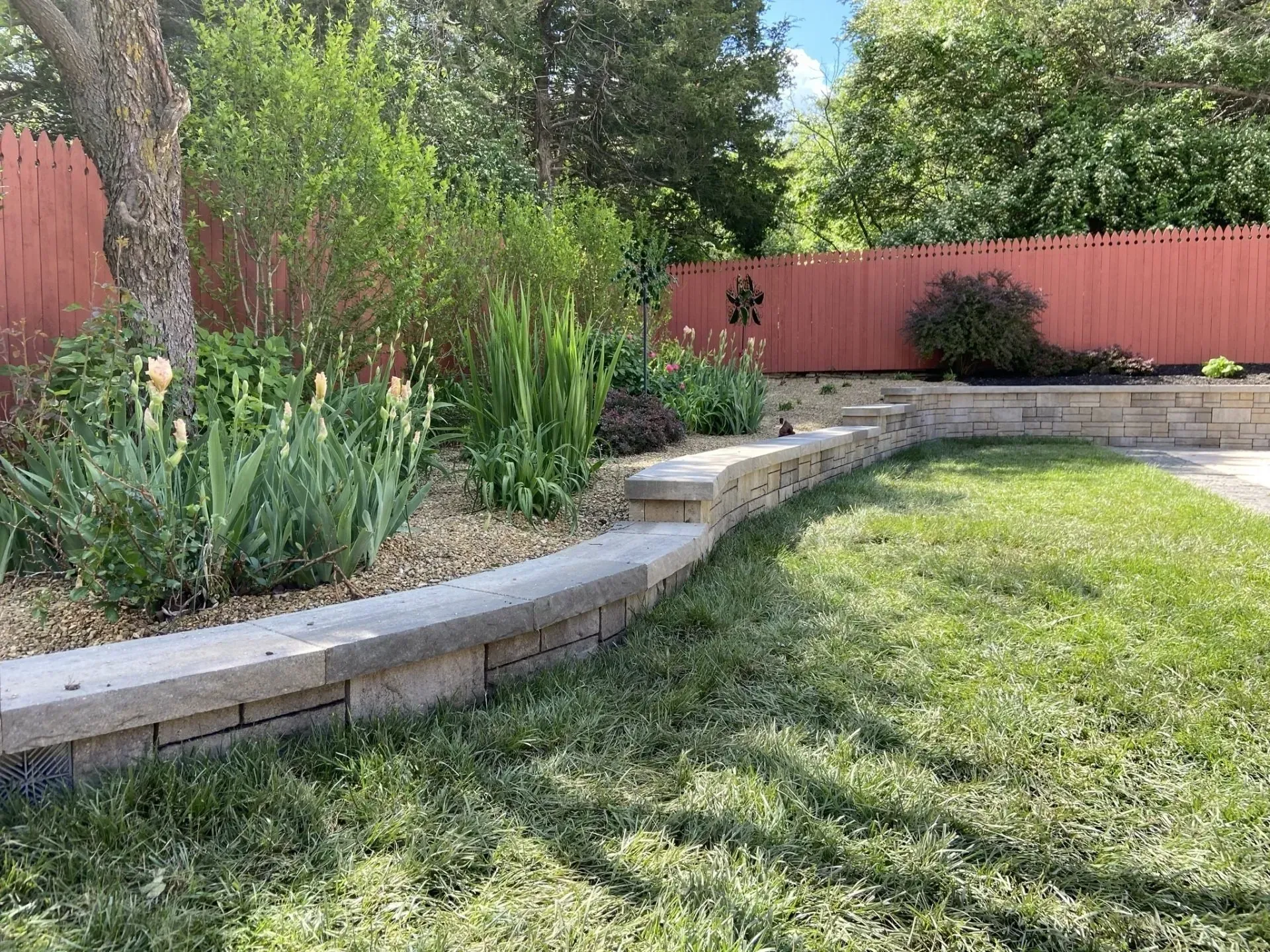 A curved stone retaining wall borders a garden bed with irises and greenery, set against a red wooden fence and lawn.