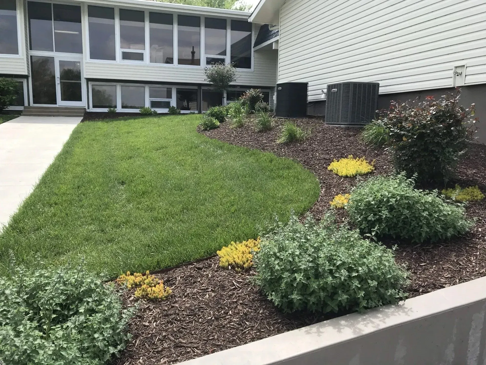 A landscaped front yard with a curved lawn, dark mulch beds, shrubs, and small yellow plants next to a building.