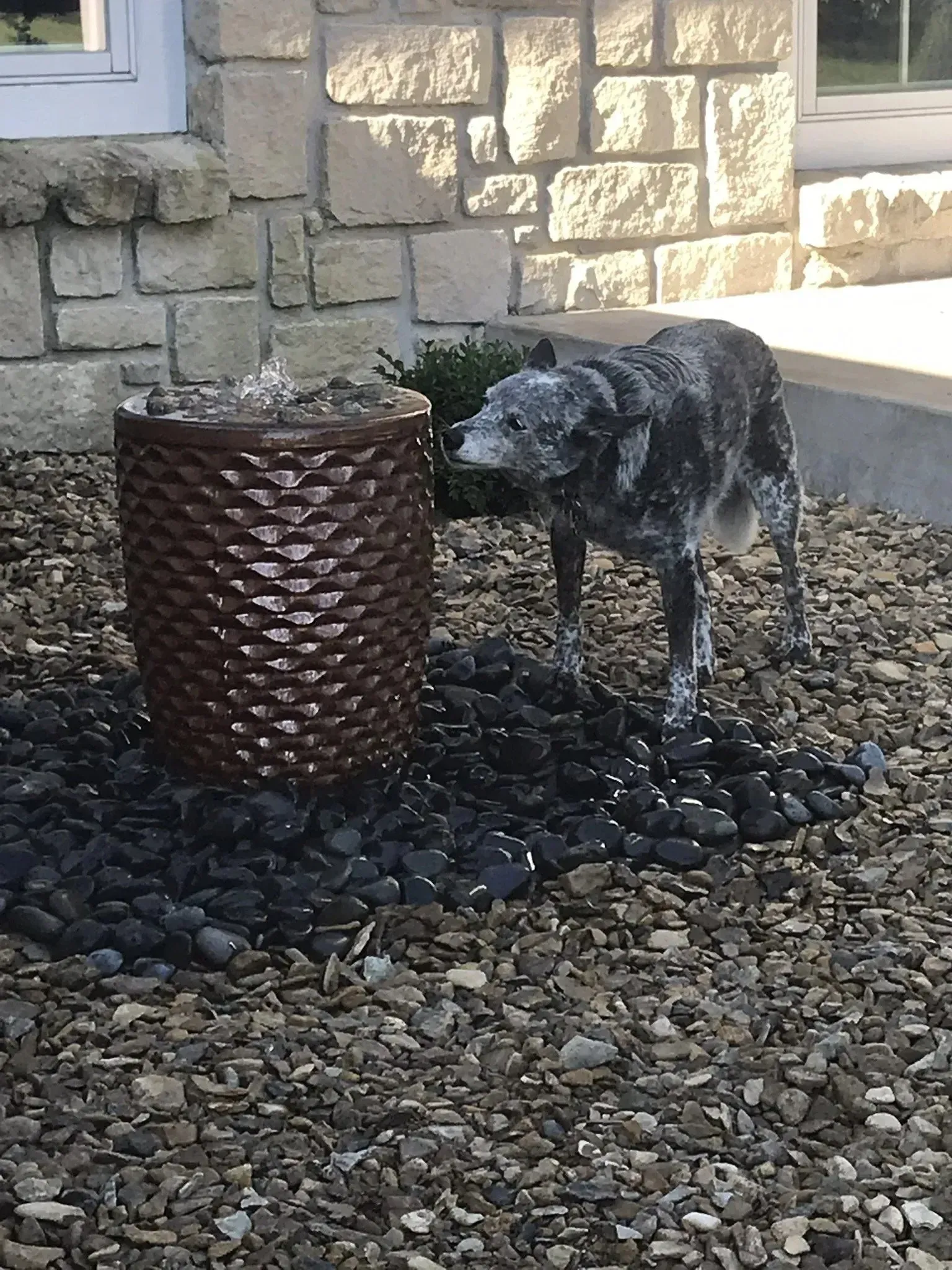 A textured, brown, cylindrical water fountain sits on a bed of black rocks next to a grey dog statue in a stone courtyard.