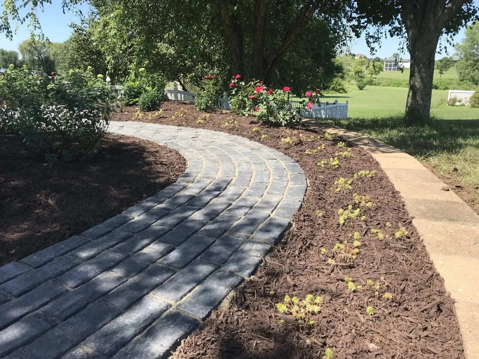 A curved stone paver walkway winds through a mulch garden bed with small plants, green shrubs, and trees in the background.
