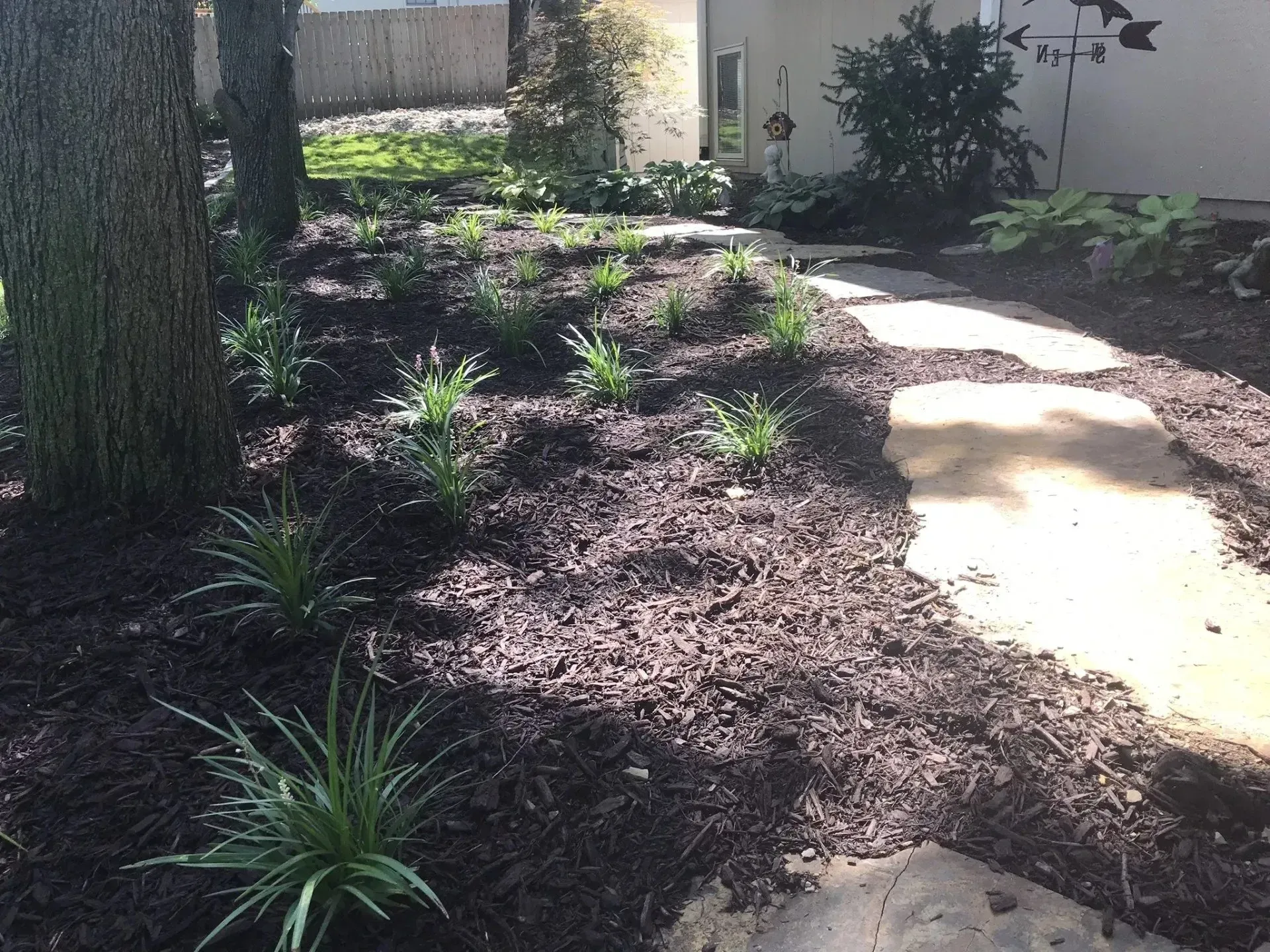 A stone path winds through a garden bed with dark mulch and small, spiky green plants in front of a house.