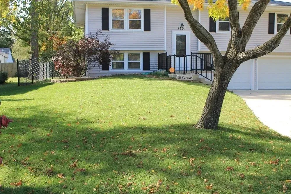 A split-level suburban house with light siding, dark shutters, a front lawn, and a large tree in the foreground.