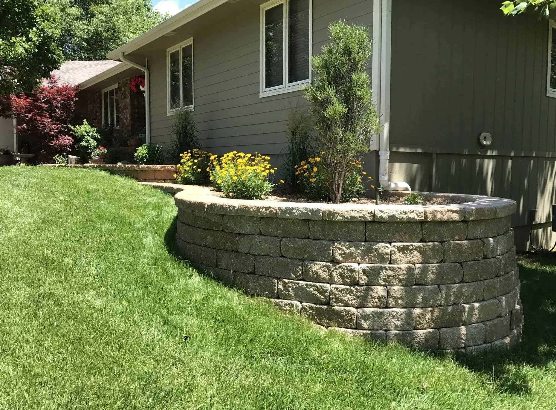 A curved stone retaining wall filled with small shrubs and yellow flowers sits in a grassy yard beside a beige house.