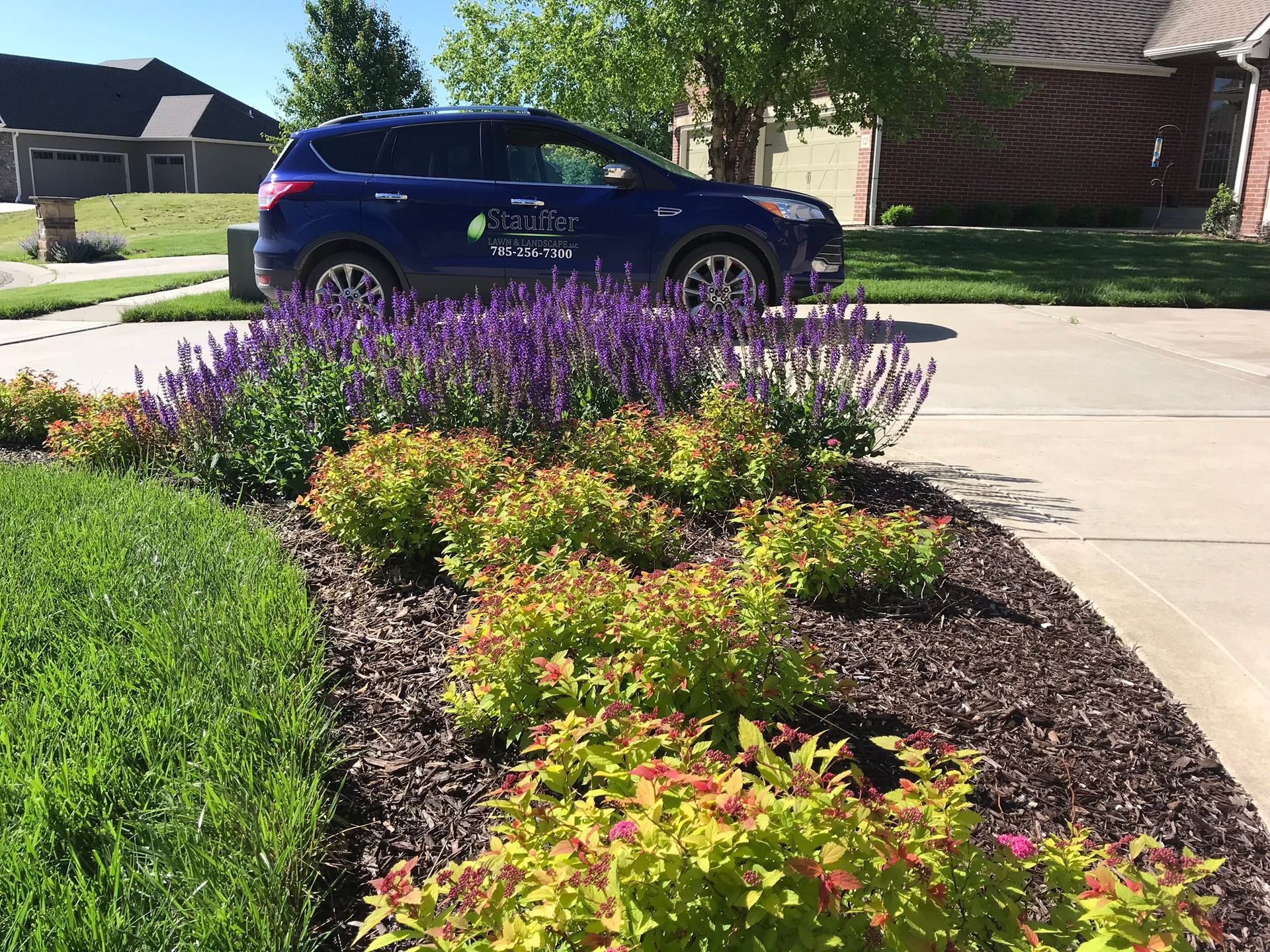 A blue company vehicle parked in a suburban driveway behind a garden bed with purple flowers and lime-green shrubs.