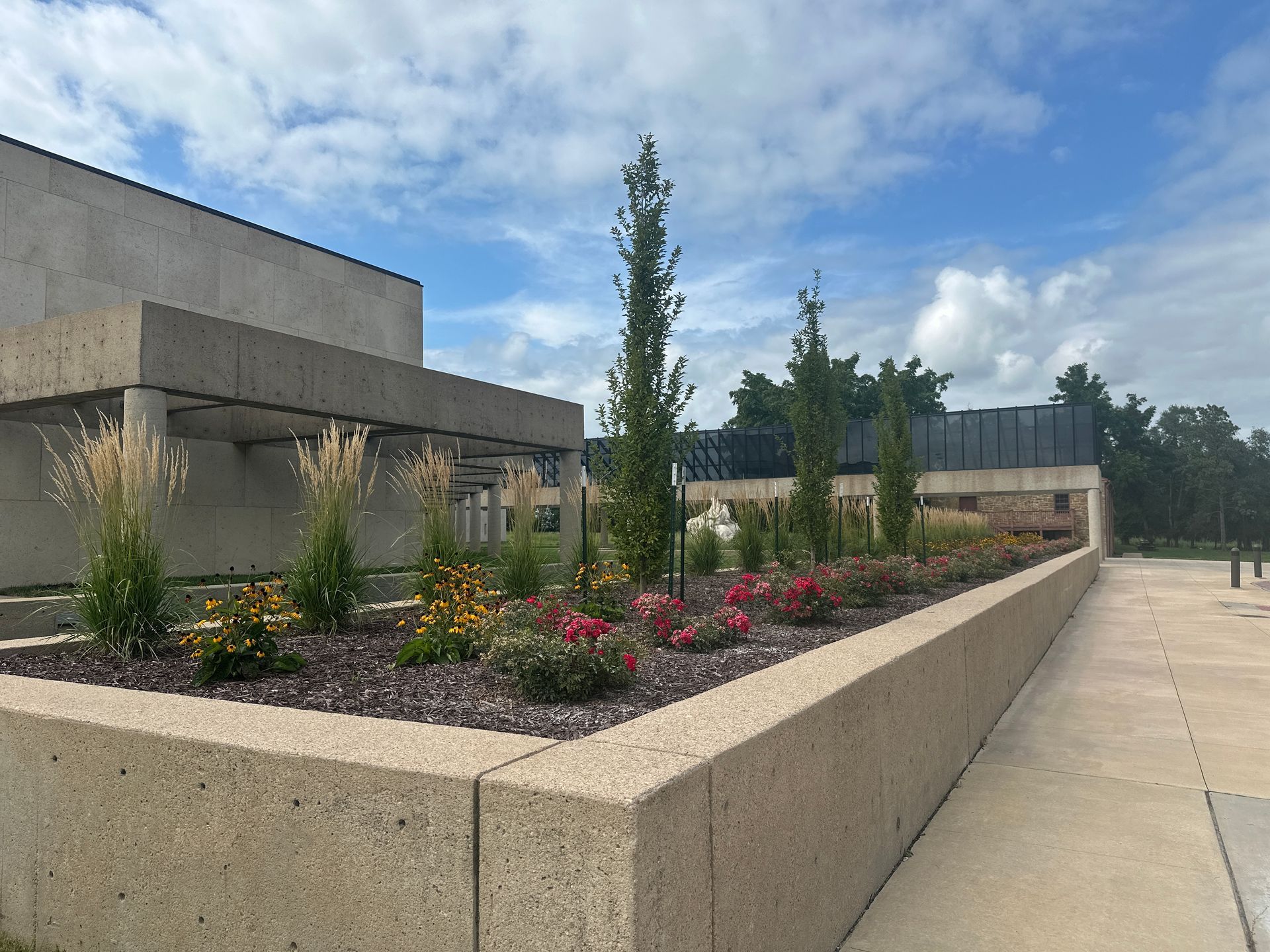 Raised garden bed with tall, thin evergreens, low-growing flowers, and shrubs alongside a concrete building.