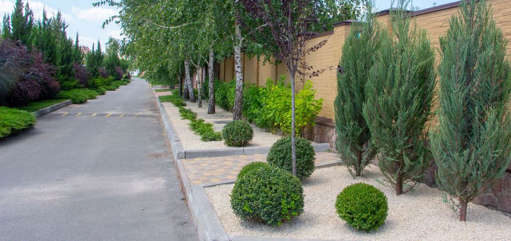 A landscaped path alongside a paved road, featuring rows of evergreen trees, manicured shrubs, and a gravel bed.