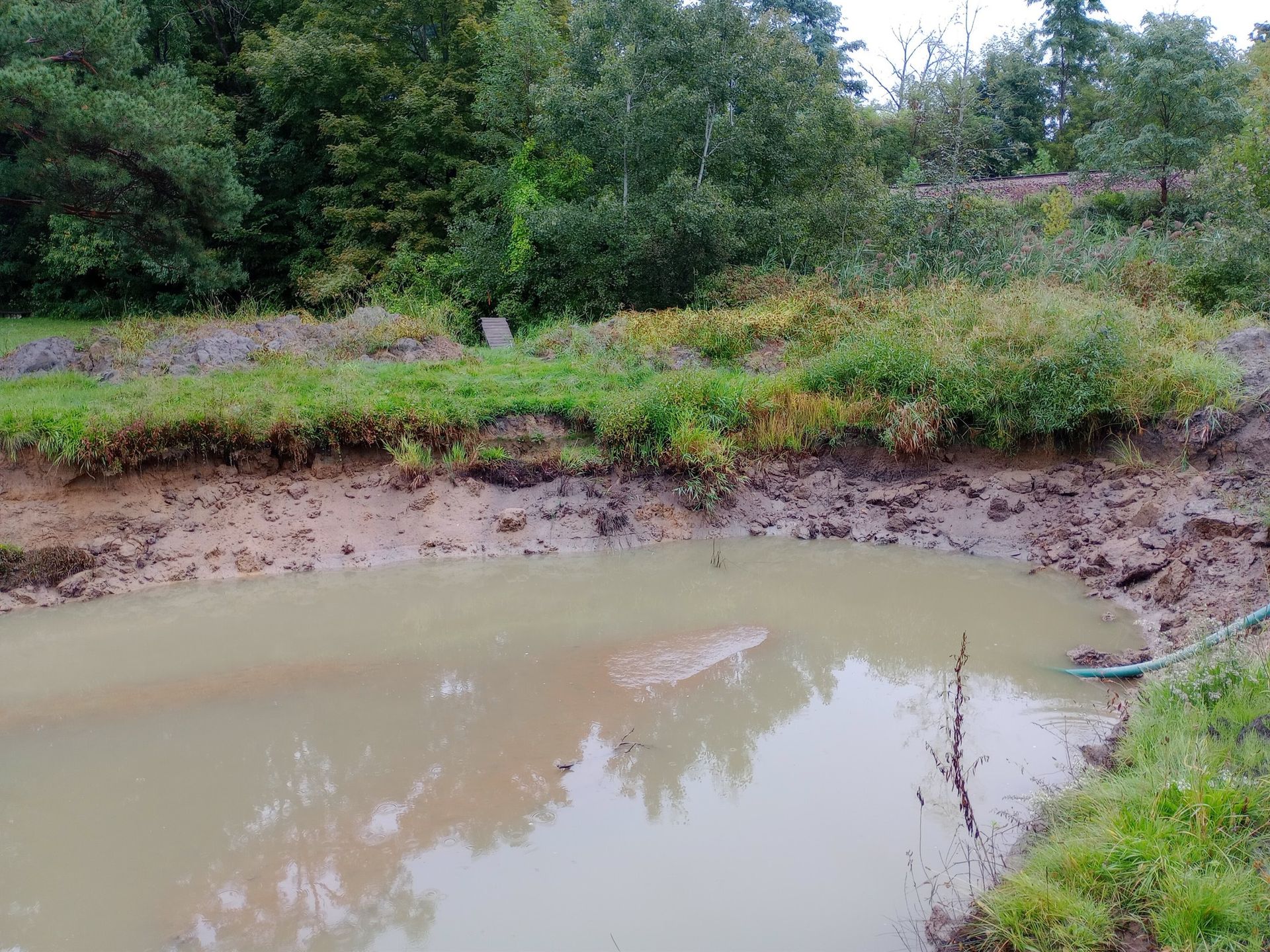 A small, muddy pond surrounded by green vegetation and trees, with a blue hose entering the water.