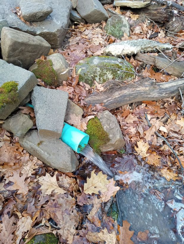 A turquoise pipe protruding from a stack of mossy rocks in a wooded area, with water flowing out into a small puddle.
