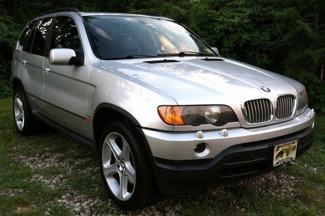 Silver BMW X5 SUV parked on grass, in front of a green bush.