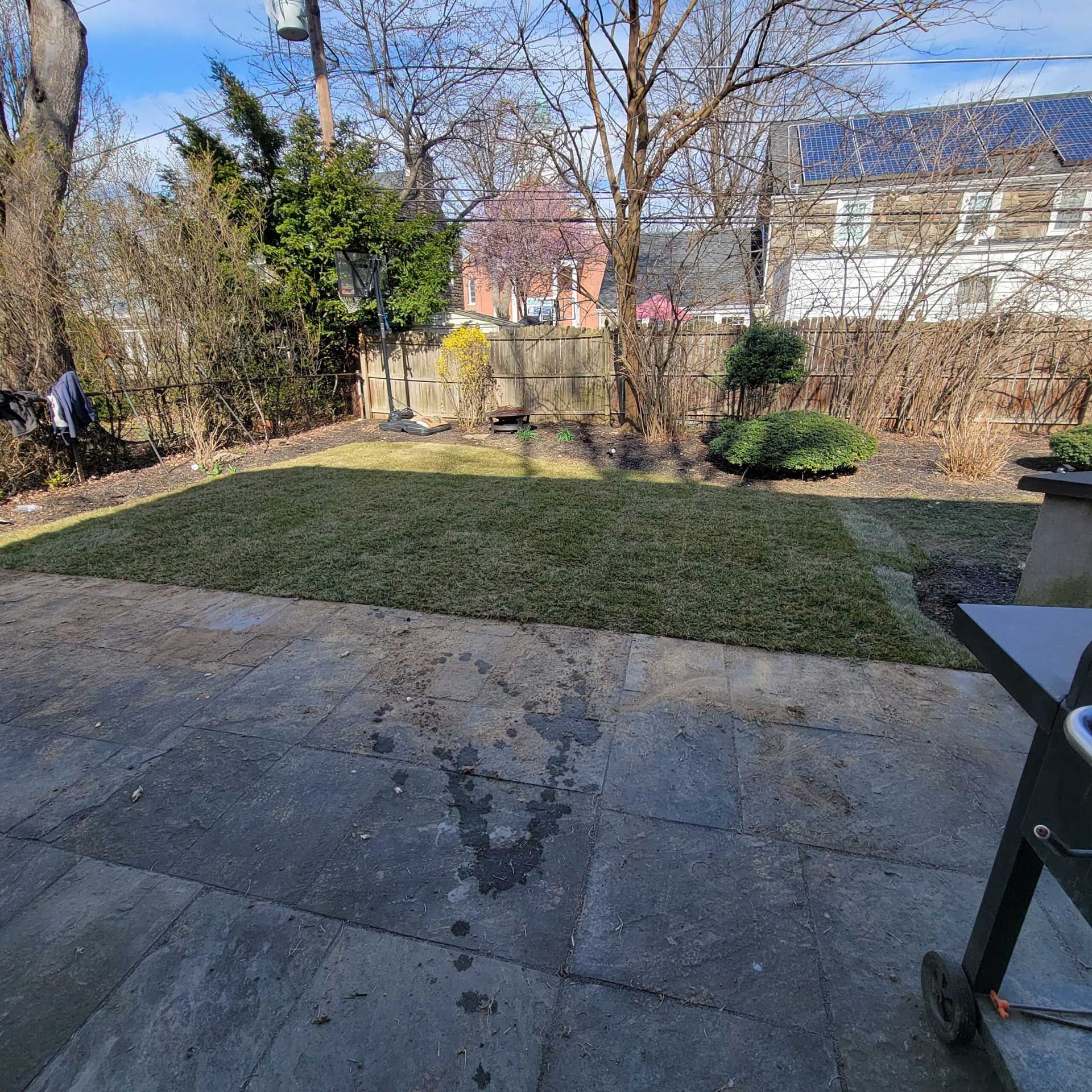 Backyard patio overlooking a small lawn, leafless trees, and neighboring houses on a sunny day