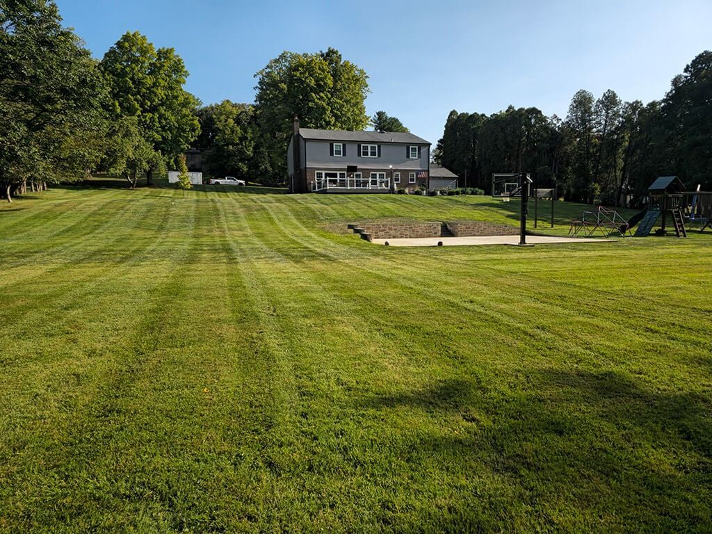 Wide green lawn leading to a white house, with trees and a playground in the background.