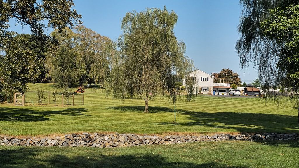Wide grassy park with trees, a stone border, and houses in the distance under a blue sky
