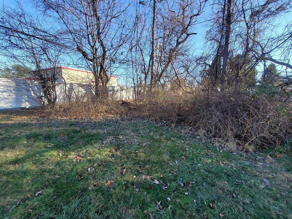 Grassy yard with leafless trees and brush beside a light-colored building in winter sunlight