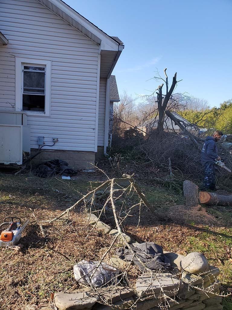 Backyard beside white house with fallen branches, brush piles, and debris near a damaged tree