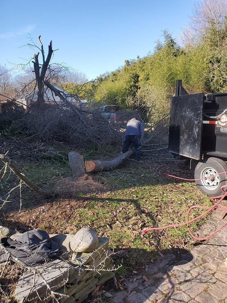 Person working with a chainsaw near a fallen tree beside a black truck in a wooded yard