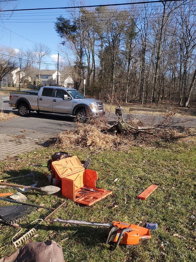 Pickup truck near a roadside pile of branches and debris in a grassy yard, with tools scattered nearby.