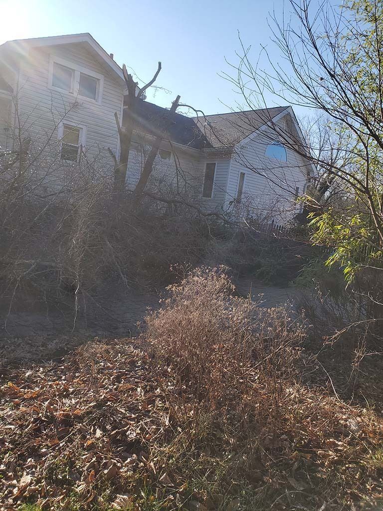 White house partially hidden by overgrown bushes and leafless trees on a sunny hillside
