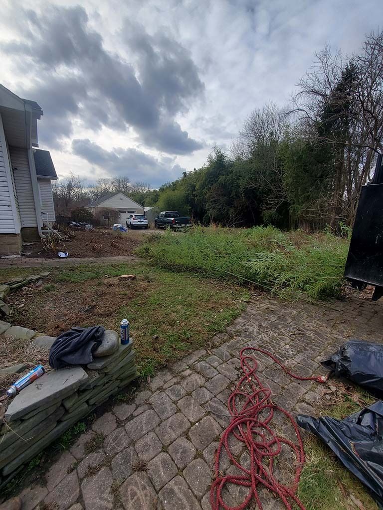 Backyard with overgrown grass, cloudy sky, and a red extension cord on a brick patio.