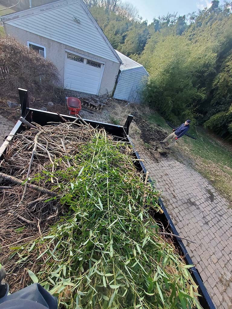 Yard debris piled in a trailer beside a driveway, with a person standing near a house and trees.