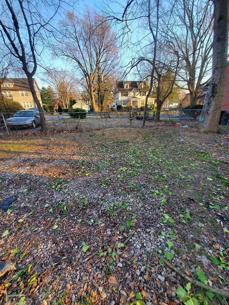 Leaf-covered park with bare trees, houses, and parked cars in the background.