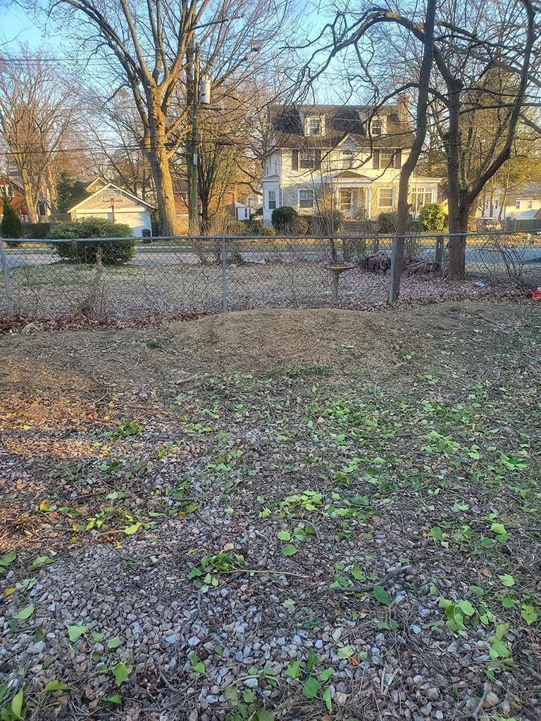 Winter yard with bare trees, a white house in the background, and frost-covered grass in the foreground
