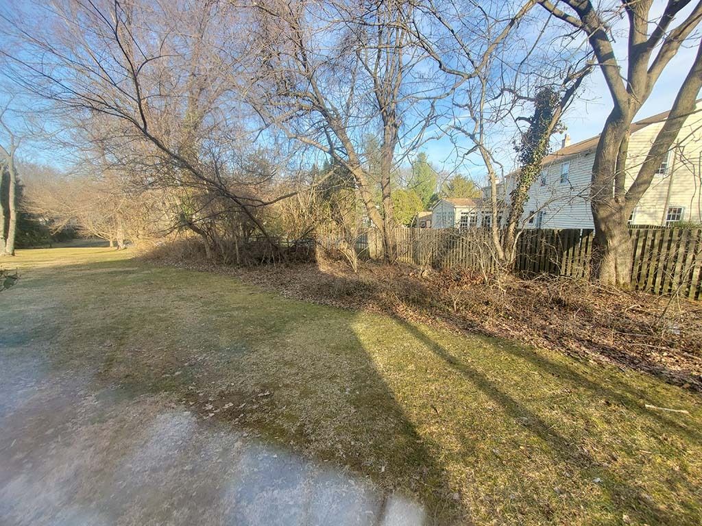 Leafless trees and a grassy path beside a white house in late afternoon light