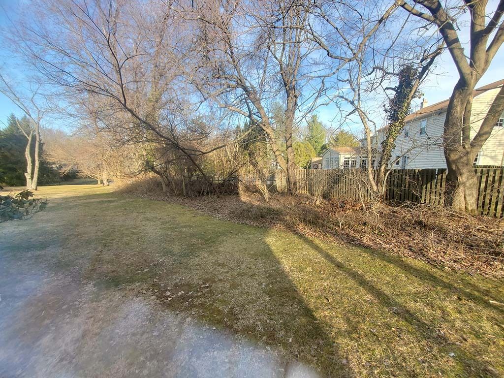 Tree-lined path beside a grassy field and houses on a sunny day